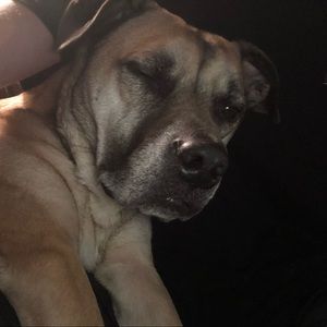 Meet your Posher, Jamison